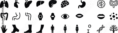 Human anatomy icons featuring organs, body parts, brain, lungs, heart, liver, stomach, eyes, DNA, joints, male and female figures