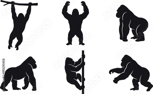 Gorilla silhouette collection featuring powerful ape in various poses including climbing, standing, and walking isolated on white background, wildlife vector illustration set