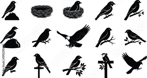 Black silhouette birds perched on branches, flying birds of prey, bird nests with eggs, nature wildlife vector illustration collection, educational design reference