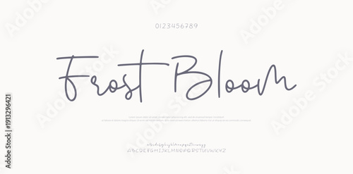 Script elegant alphabet beauty logo font. Classic beautiful Modern luxury Serif Letter Minimal Fashion. Typography decoration logotype fonts, wedding, logos. vector illustration
