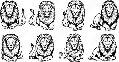 Lion line art illustration set, majestic male lions poses, detailed mane outline, black white vector, wildlife animal drawing, tattoo design, printable coloring