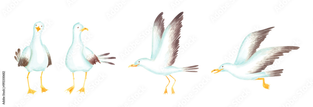 Fototapeta premium Watercolor illustration set of flying and standing seagulls isolated on white. Cute sea bird clipart in cartoon naive style for invitations, summer greeting cards, nautical designs, kids marine decor.