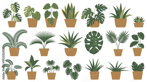 professional vector illustration set of assorted indoor houseplants in ceramic pots, including monstera, snake plant, fiddle leaf fig, and ferns, modern home decor, botanical interior design concept.