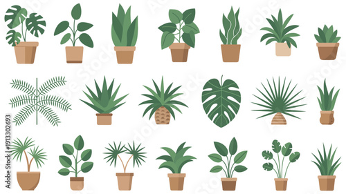 professional vector illustration set of assorted indoor houseplants in ceramic pots, including monstera, snake plant, fiddle leaf fig, and ferns, modern home decor, botanical interior design concept.