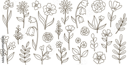 Black and white line of various flowers and plants