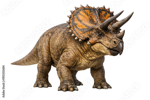 Realistic Triceratops Dinosaur Isolated on White Background