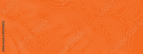 Tuna salmon meat with bg sushi fish and pattern texture abstract. Peach slice food with sketch tuna dish and fillet sashimi outline. Structure line tuna with illustration orange bg and salmon.