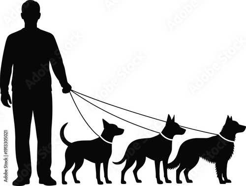 Dog walker silhouette, man walking multiple dogs on leash, pet care service illustration, canine training outdoor activity scene