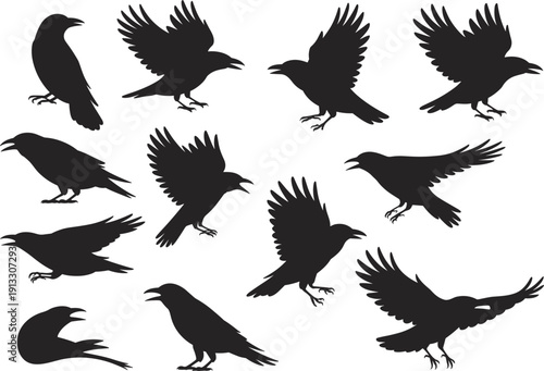 Black Crow and Raven Silhouettes Collection Featuring Large Wild Birds in Various Flying Perching and Standing Poses Isolated on White Background for Vector Graphic Design