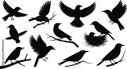 Black Songbird Silhouette Collection Featuring Small Birds Flying Perching on Branches and Nesting with Chicks Isolated on White Background for Nature Vector Graphic Design