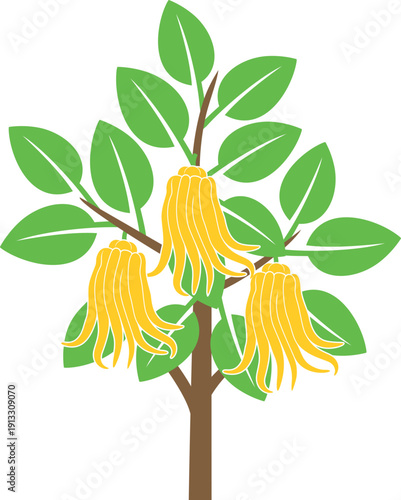 Buddha's hand  fruit tree logo. Citron. Isolated Buddha's hand fruit tree on white background