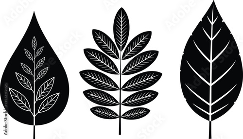 Black leaf silhouettes set including simple veins and compound leaf structures isolated on white background for botanical and environmental designs