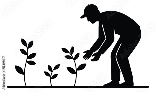 A person is shown planting a small plant in the ground
