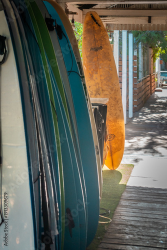 A row of colorful surfboards leans against a wall in a sunlit outdoor walkway, featuring shades of blue, green, and a vibrant orange longboard catching the light