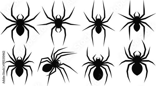 Black silhouette set of various spider species including tarantulas and house spiders isolated on white background for halloween and nature