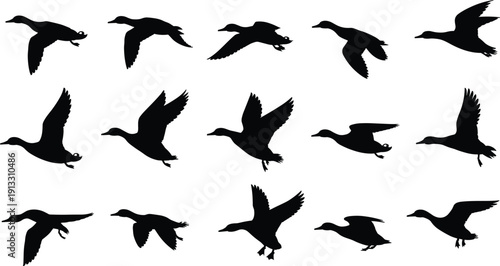 PrintBlack Mallard Duck Silhouette Collection Featuring Wild Waterfowl in Various Flying and Landing Poses Isolated on White Background for Hunting and Nature Vector Graphic Design (