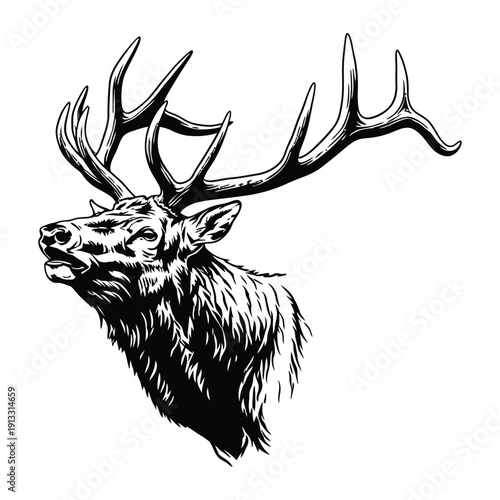 A black and white drawing of an elk's head with large antlers