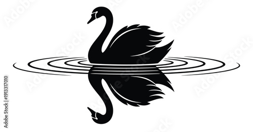 A black swan floating on water with ripples