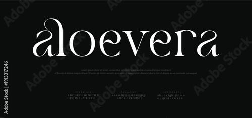 Aleovera Abstract elegant font, vintage type or luxury premium typeface, vector English royal alphabet. Classic typography in modern or old art style, serif letters for modern or retro poster font