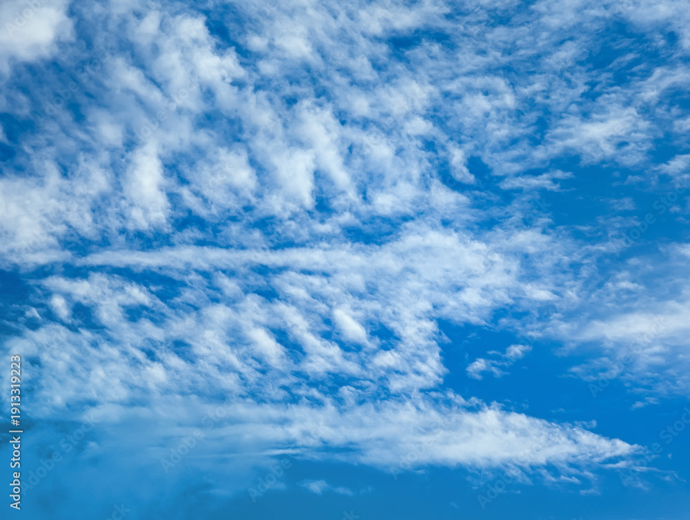 Fototapeta premium Sky with cirrus clouds. Detailed structure of layered textures. White steam on blue heaven.
