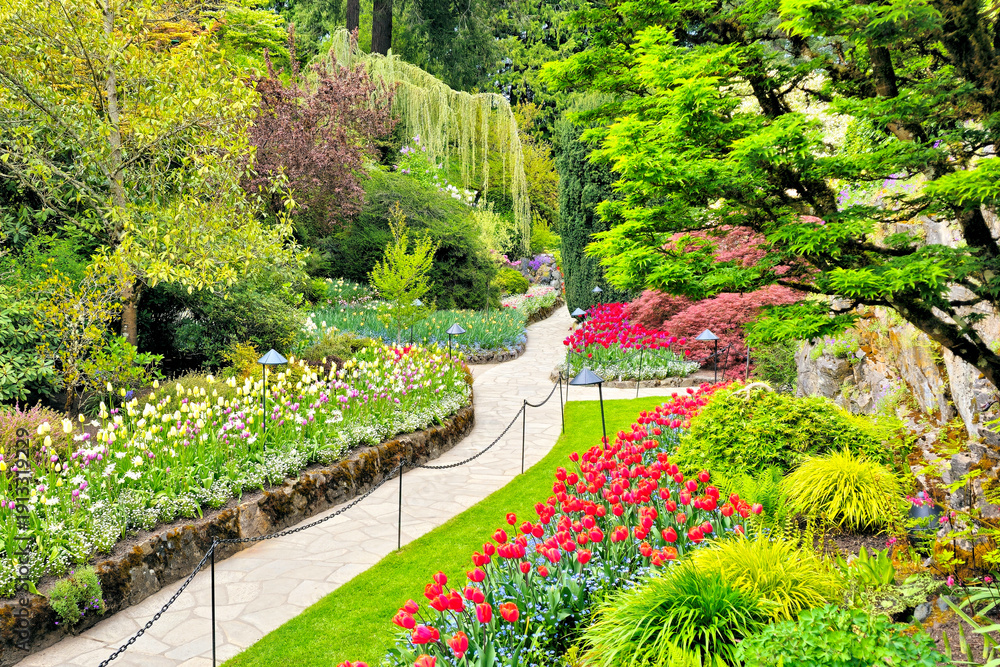 Obraz premium Butchart Gardens, Victoria, Canada. Footpath through the beautiful spring flowers of the sunken garden.