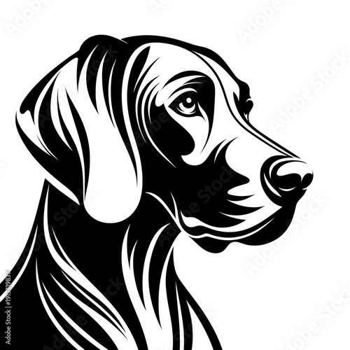 Weimaraner dog vector. Diversity of breeds, pet and friend for human. Vet clinic professional services, grooming salon and dog food decoration