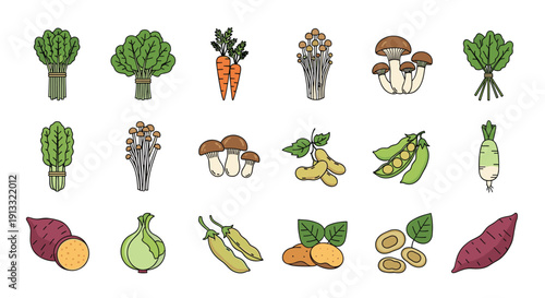 Large set of colorful hand-drawn style illustrations of various fresh Japanese vegetables, including spinach, carrots, mushrooms, and sweet potatoes.