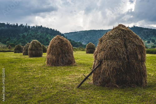 Fotografie Traditional Conical Haystacks in a Green Mountain Field Under a Cloudy Sky
