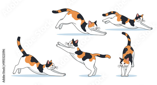Set of dynamic illustrations of a cute calico cat in various playful and stretching poses, isolated on a clean white background.