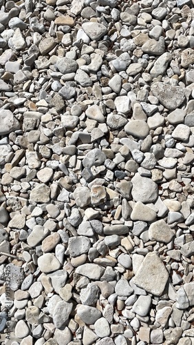 Top view of white and light gray pebbles covering the ground. Natural stone background with smooth rounded rocks in various sizes. Minimal neutral texture suitable for design, nature themes, and archi