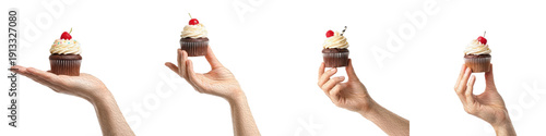 Set and collection of human hands holding delicious chocolate cupcakes with white frosting and a cherry on top isolated on white transparent PNG background
