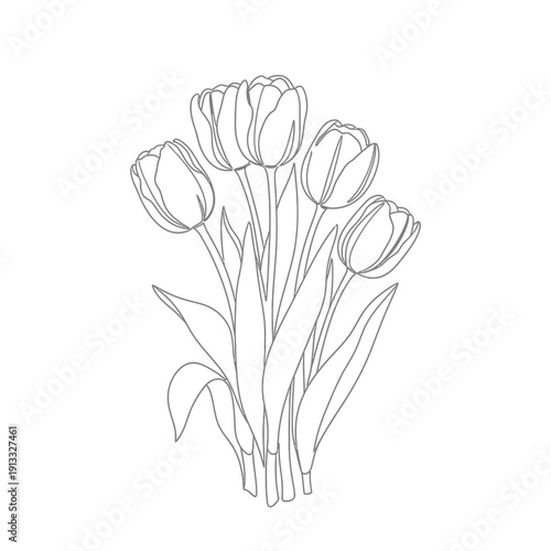 Line drawing of tulips with delicate petals and elongated stems, showcasing the essence of nature's beauty. Floral composition features elegant tulips in a simple layout.