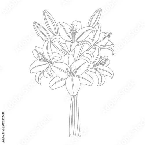 Elegant lily bouquet design illustration featuring multiple blooms with intricate details, capturing the essence of a lily bouquet for floral arrangements.