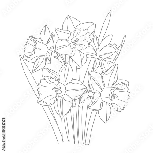 Daffodil flower illustration with detailed petals and stems, showcasing beautiful blooms and vibrant greenery. Daffodil flowers create a fresh atmosphere ideal for spring decor or floral designs.