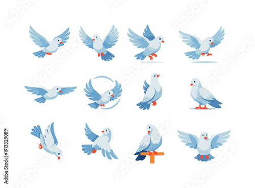 Colorful Dove Icons. Dove movements. Colorful flat vector icons set of dove movements: dove in flight, flapping wings, takeoff pose, gentle landing, gliding