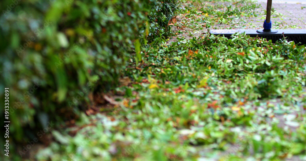 Obraz premium Leaves are being gathered along a sidewalk in a residential area during the early afternoon hours of a cool autumn day