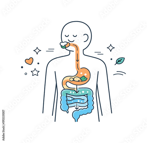 Food digestion. A simple human figure with a transparent torso showing a stylized digestive path, where food moves calmly through the body.