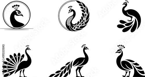 Set of six elegant black peacock silhouettes and stylized line art icons featuring various poses with decorative feathers and circular frames for luxury branding design.