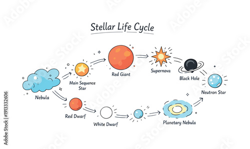 Life cycle of stars overview. Calm editorial scene showing the full stellar life cycle arranged in a clear sequence, from nebula to star