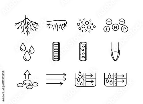 Plant roots absorbing nutrients. Line icon set of Plant roots absorbing nutrients: root system, root hairs, soil particles, nutrient ions,
