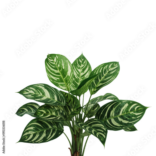 Green Leaves From a Tropical Plant in a Bright Setting