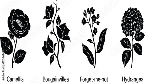 Botanical Flower Silhouette Set with Camellia Bougainvillea Forget Me Not and Hydrangea, Black Floral Vector Illustrations for Garden Nature and Wedding Designs