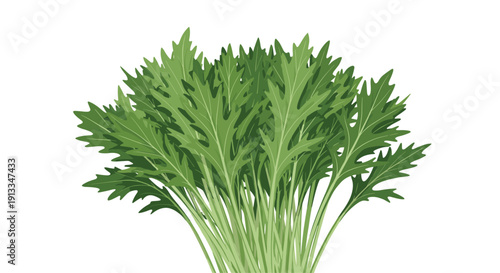 Fresh bunch of green mizuna or mustard greens with jagged edges, commonly used in salads and japanese cooking for flavor.