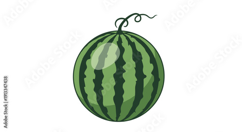 Large round whole green watermelon with dark stripes and a curly vine, representing a refreshing summer fruit snack.