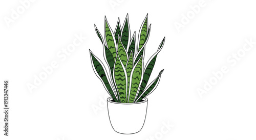 Potted snake plant with tall green and yellow variegated leaves, known as a popular and easy-to-care-for indoor houseplant.