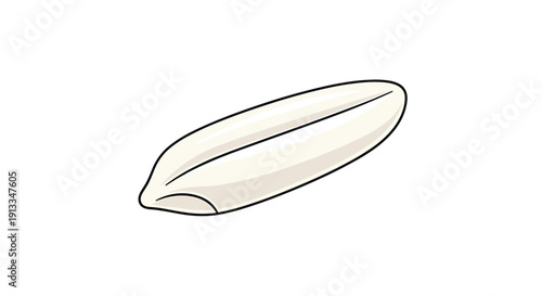 Single long grain of white polished rice shown in detail on a white background for food and agriculture illustrations.