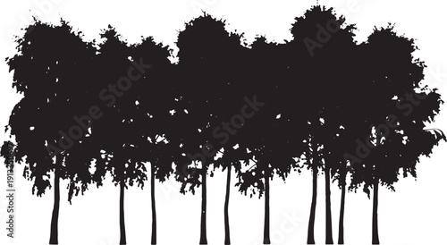 Black Solid Slender Birch Tree Silhouettes Set of Six on White Background