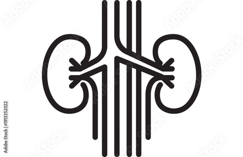 Kidney icon in minimal line style showing human urinary system and renal anatomy symbol, black outline isolated on white background for healthcare and medical design