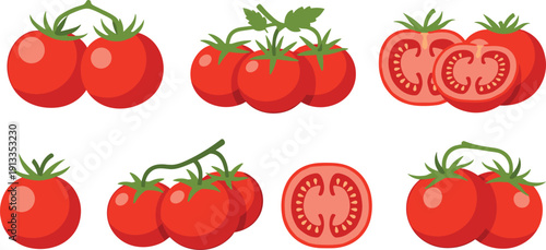 Fresh red tomato vector set. Realistic clusters of ripe cherry tomatoes on vines and sliced tomato cross-sections. Organic vegetable illustrations for grocery and cooking.