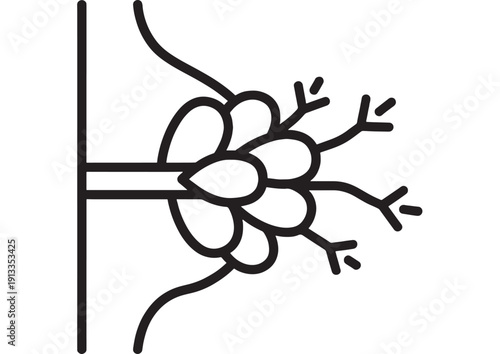 Mammary gland and breast milk ducts line icon showing lobules, nipple and branching lactiferous ducts, minimal medical anatomy illustration isolated on white